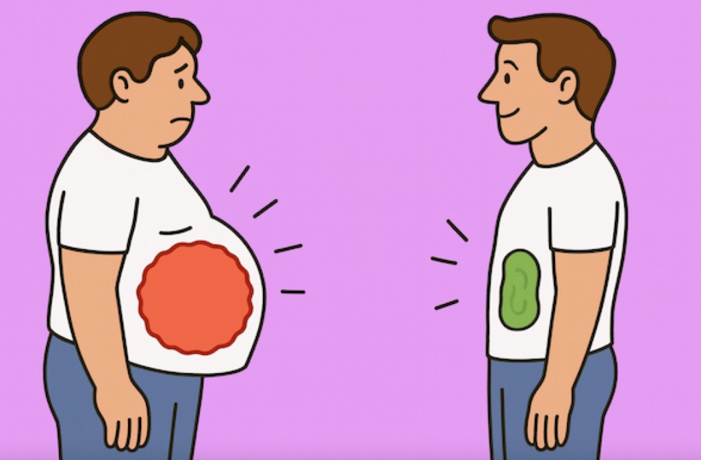 Illustration comparing digestive wellness: balanced habits on the right versus inconsistent routines on the left